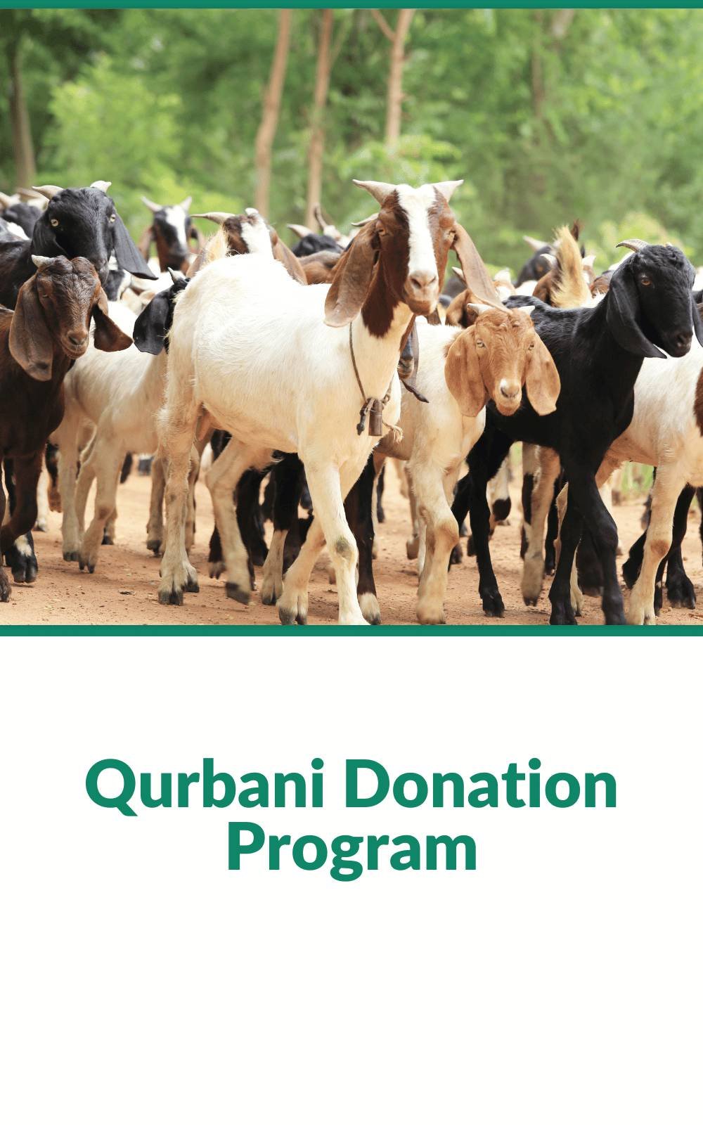 Qurbani Donation Program