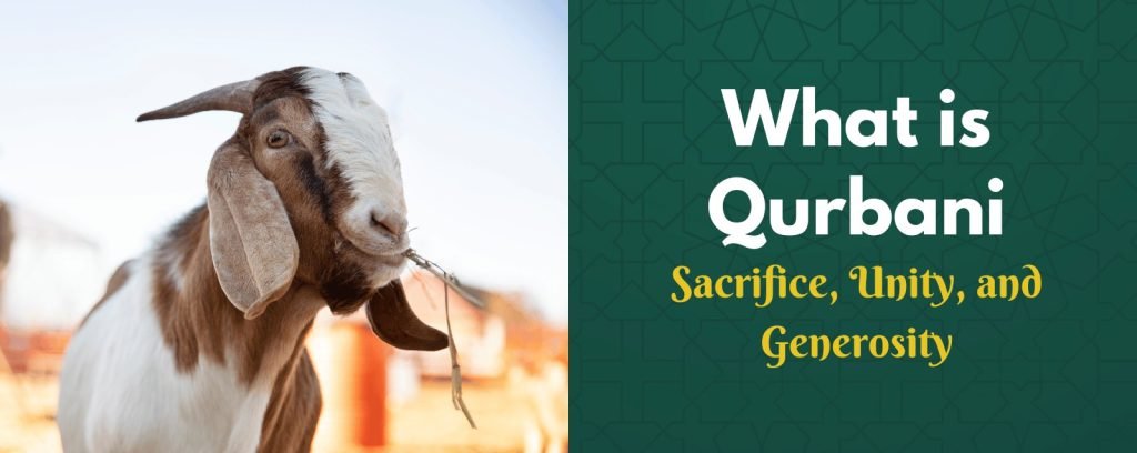What is Qurbani: Sacrifice, Unity, and Generosity